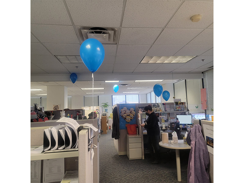 Blue Balloons around FSW Office