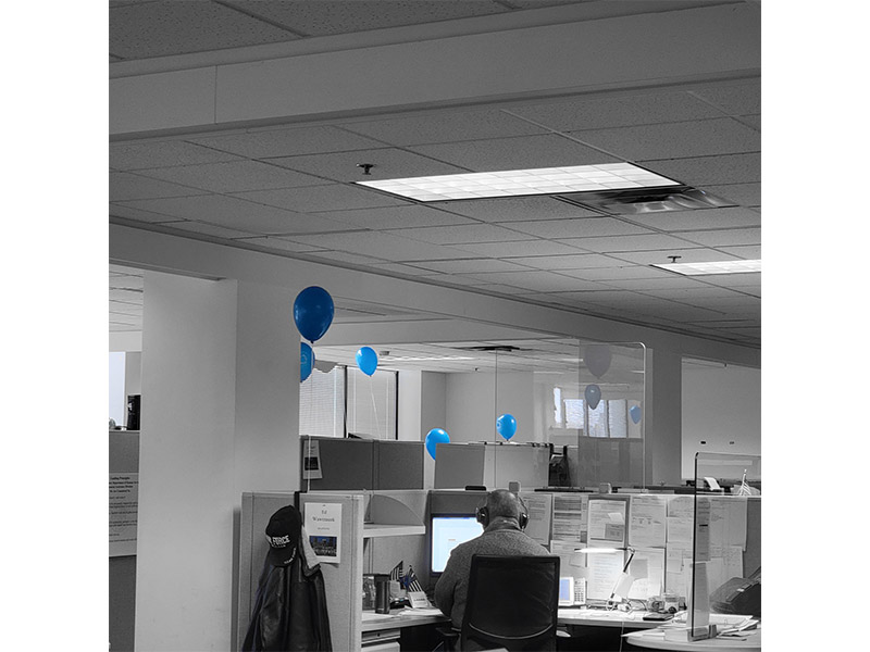 Blue Balloons around FSW Office